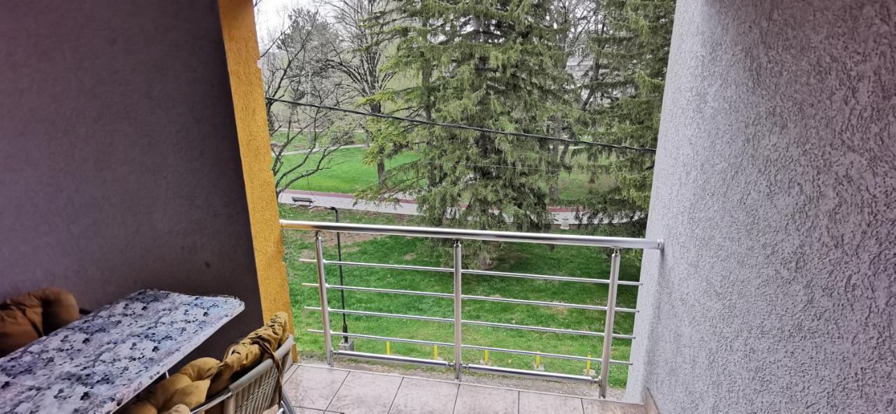 Apartments Banjica Sokobanja Kültér fotó