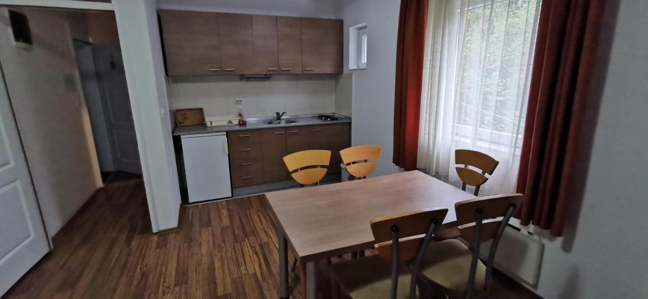 Apartments Banjica Sokobanja Kültér fotó