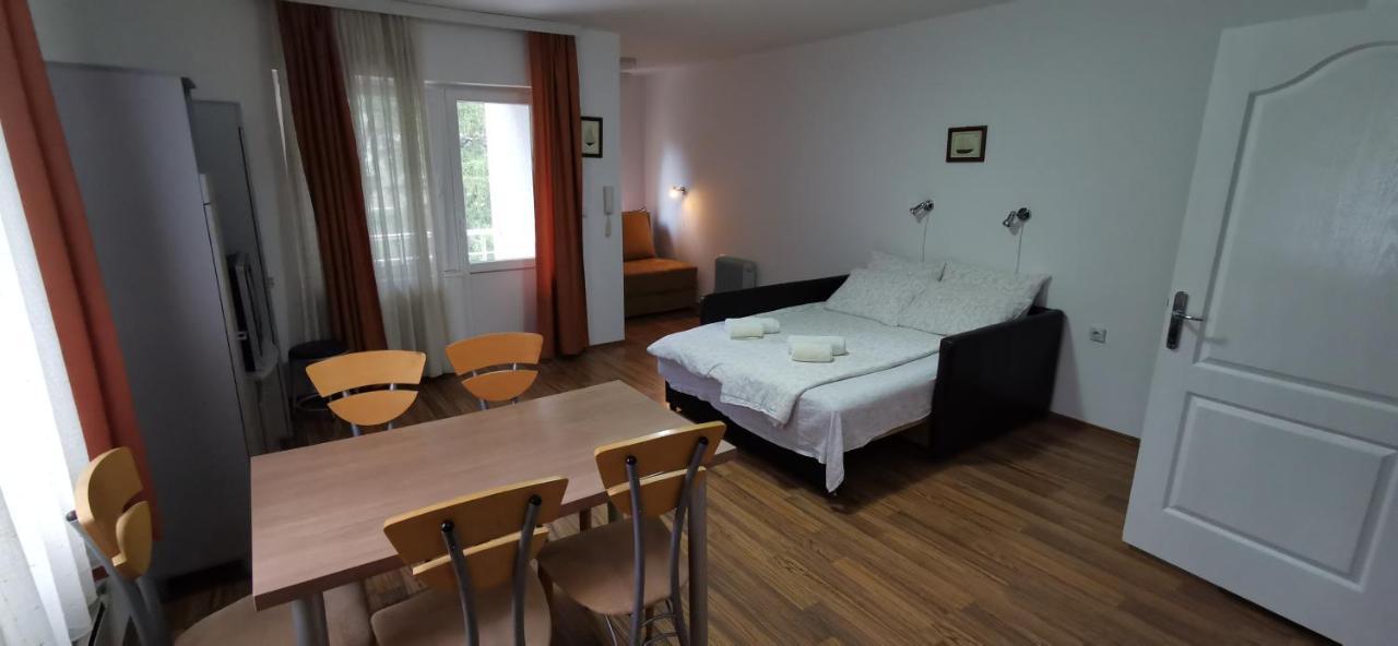 Apartments Banjica Sokobanja Kültér fotó