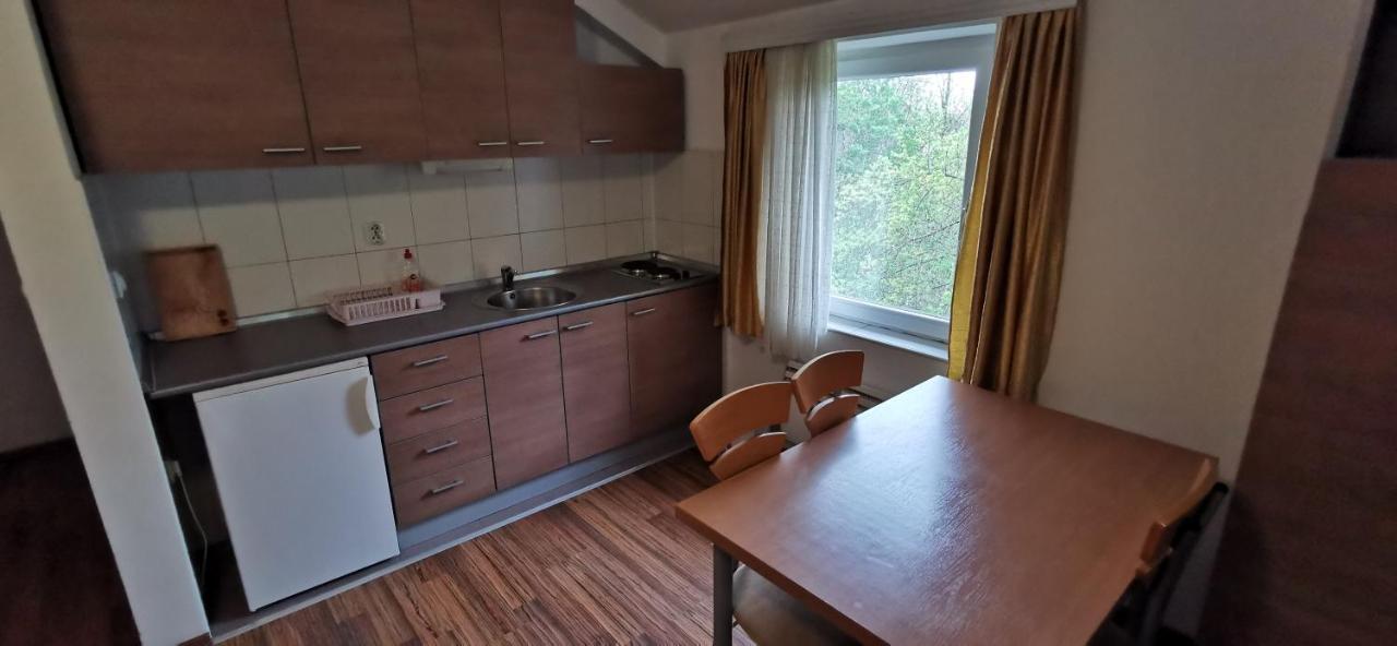 Apartments Banjica Sokobanja Kültér fotó